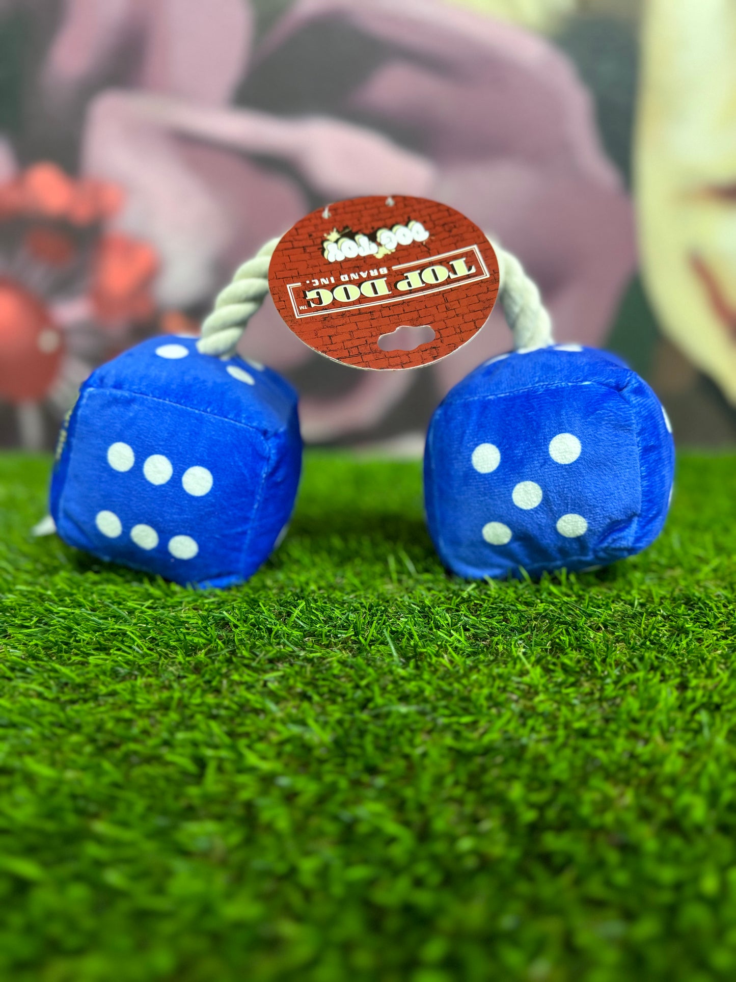 Top Dog dice toy