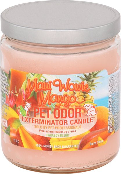 Pet odor eliminator candles