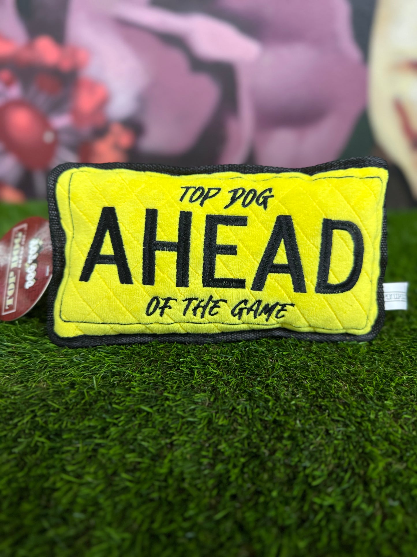 Top dog ahead