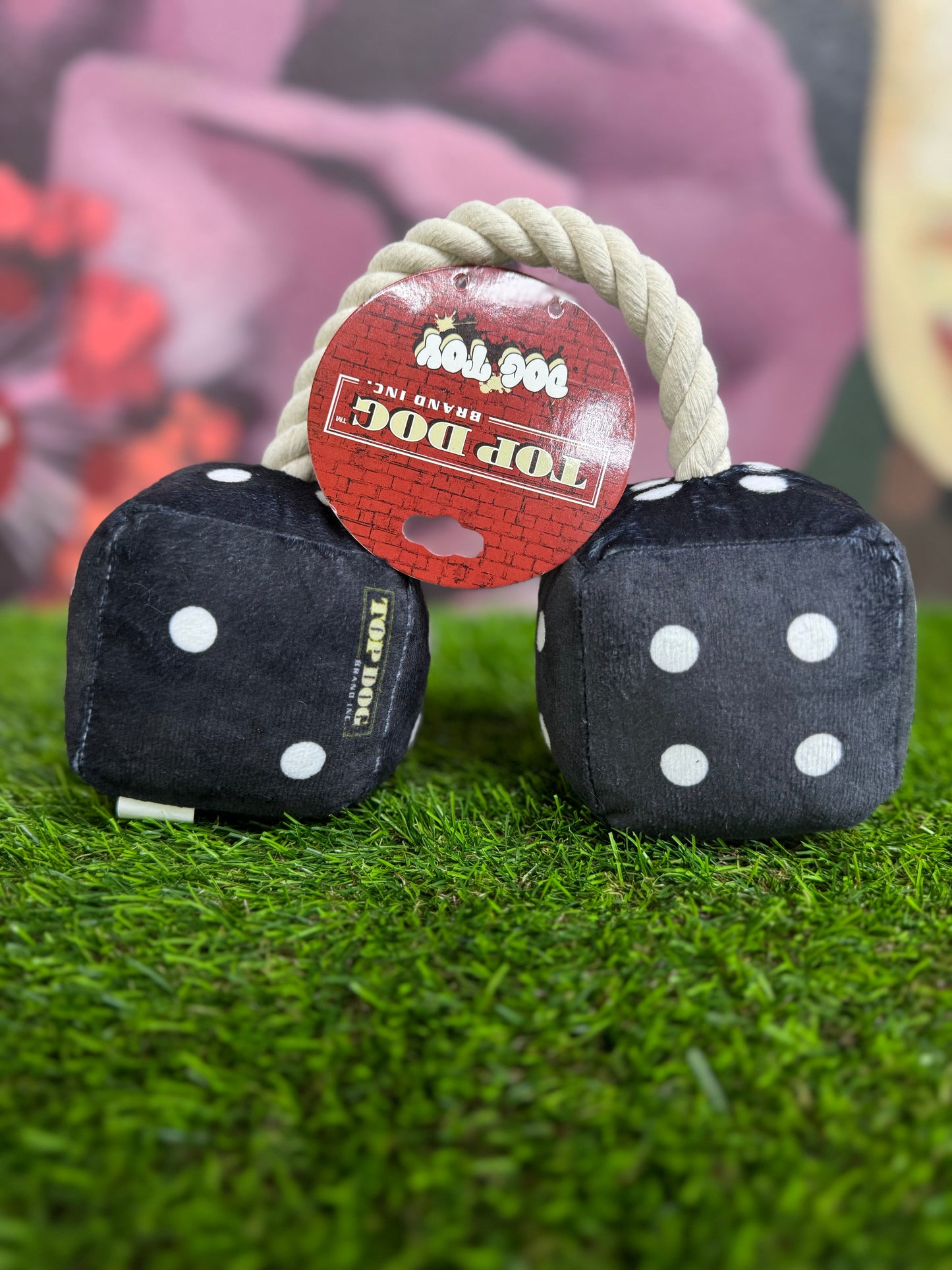 Top Dog dice toy