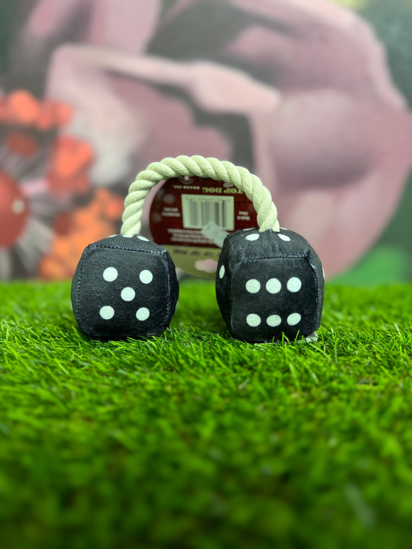 Top Dog dice toy