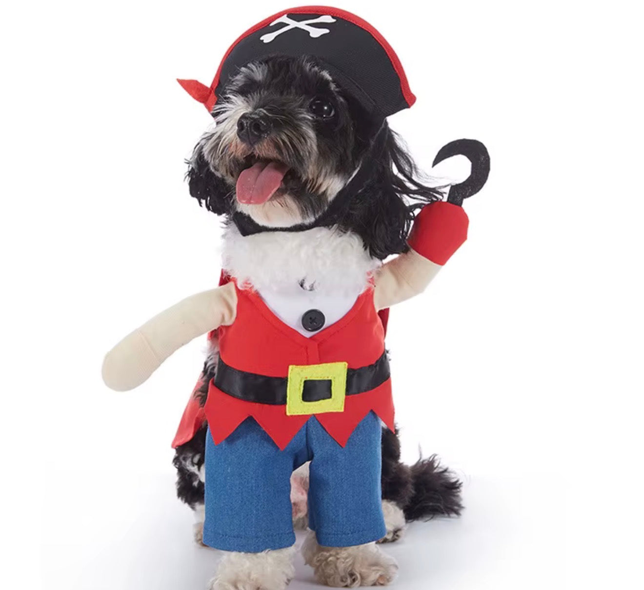 Pirate dog costume