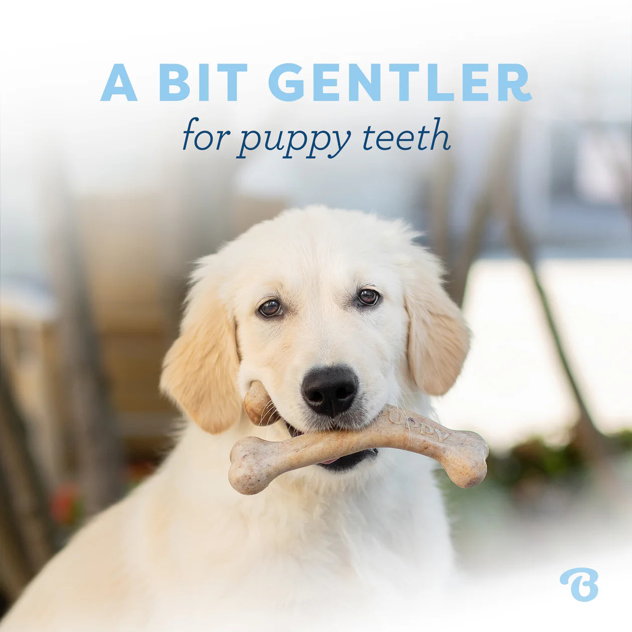 Benebone puppy wishbone