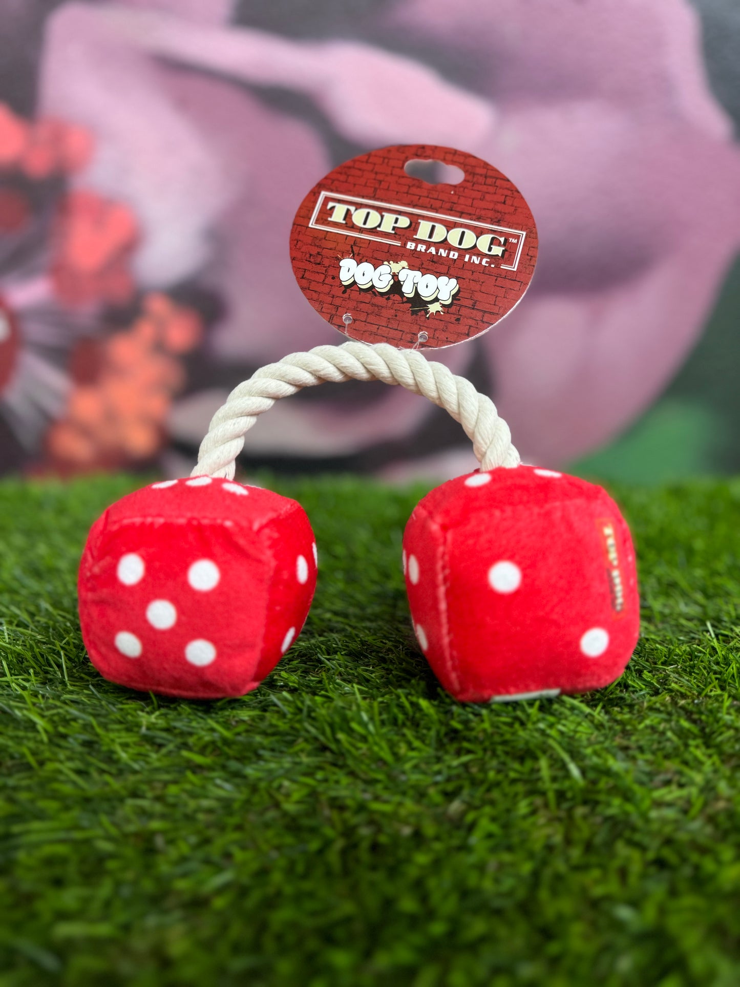 Top Dog dice toy