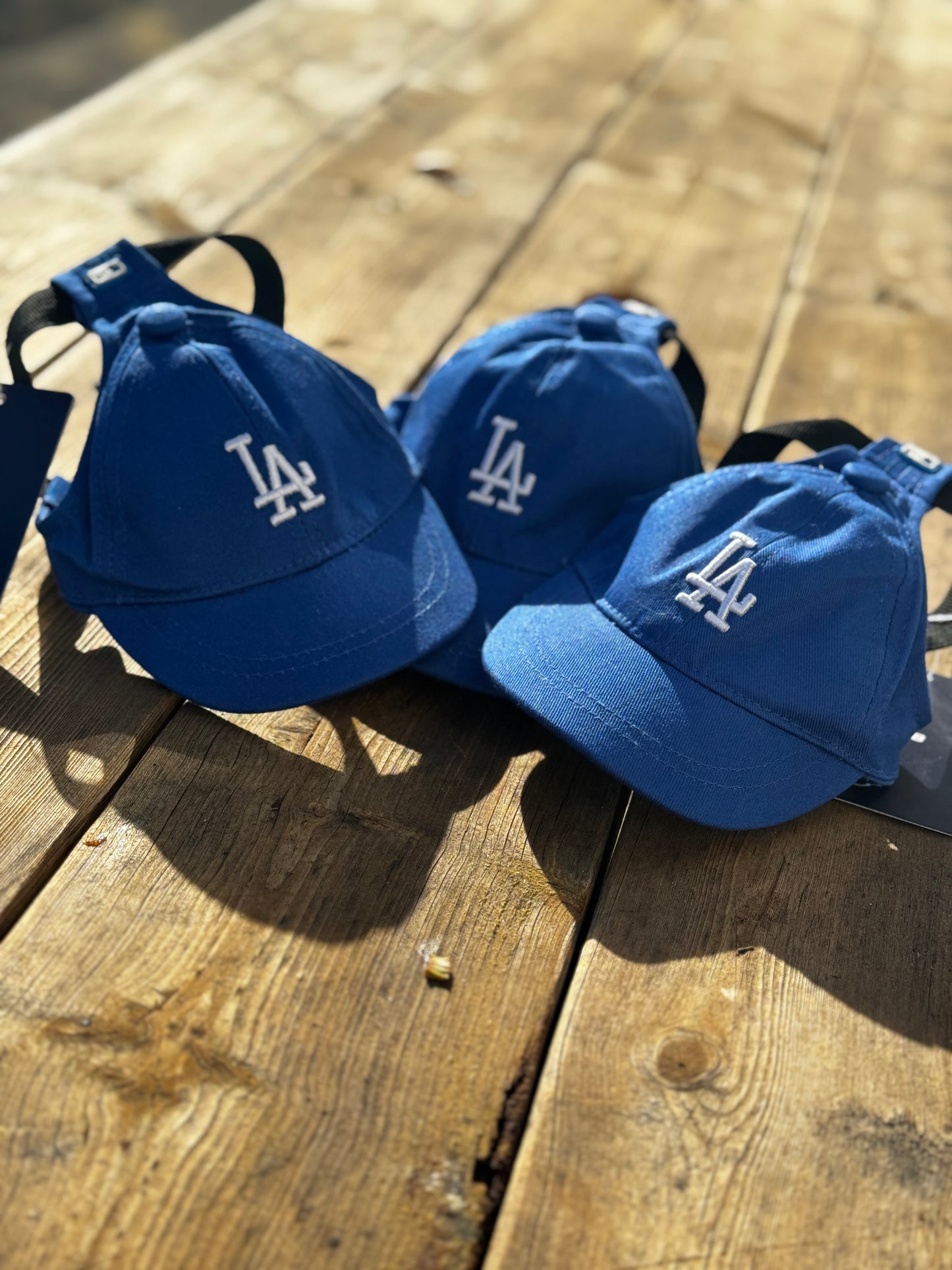 Dog mlb hat
