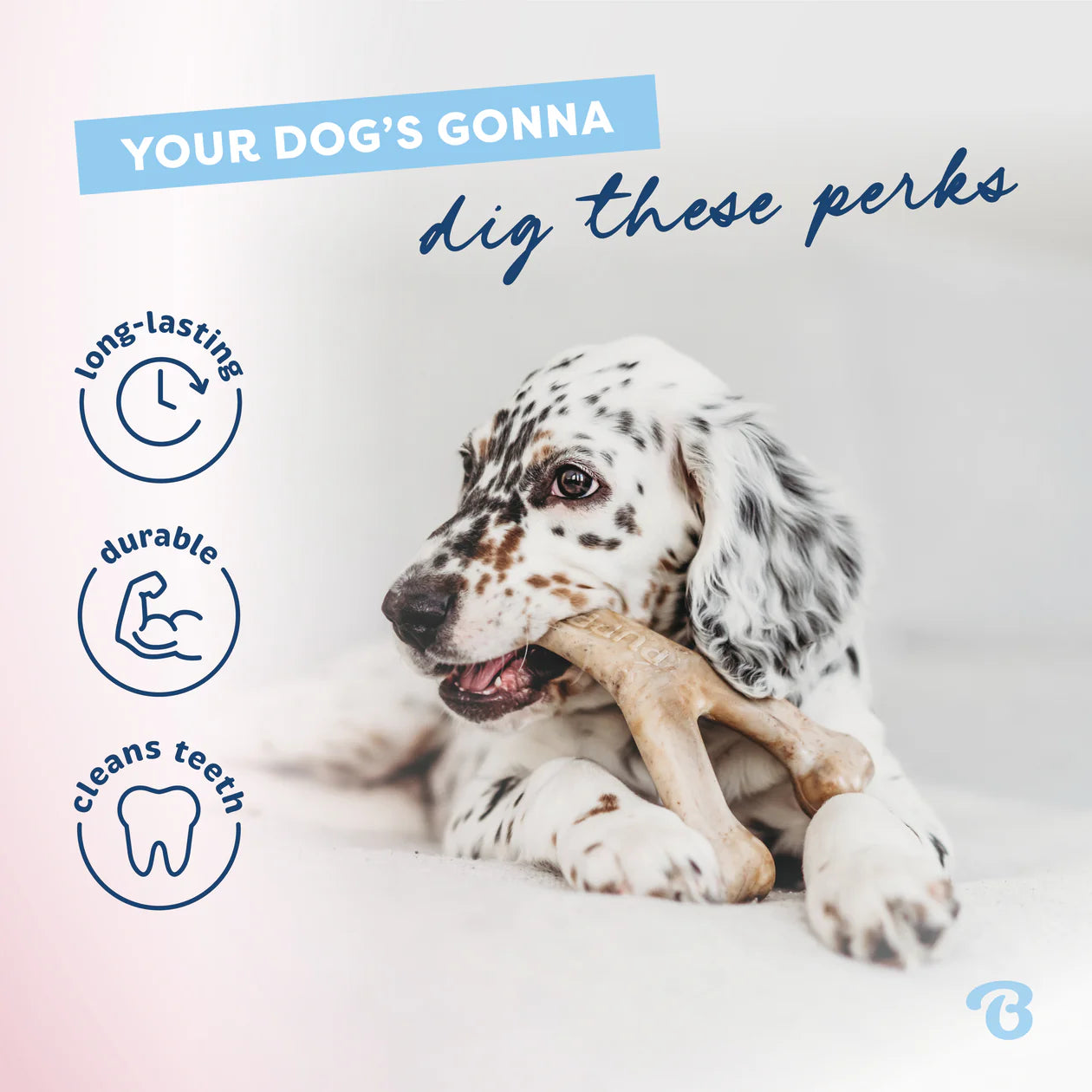 Benebone puppy wishbone