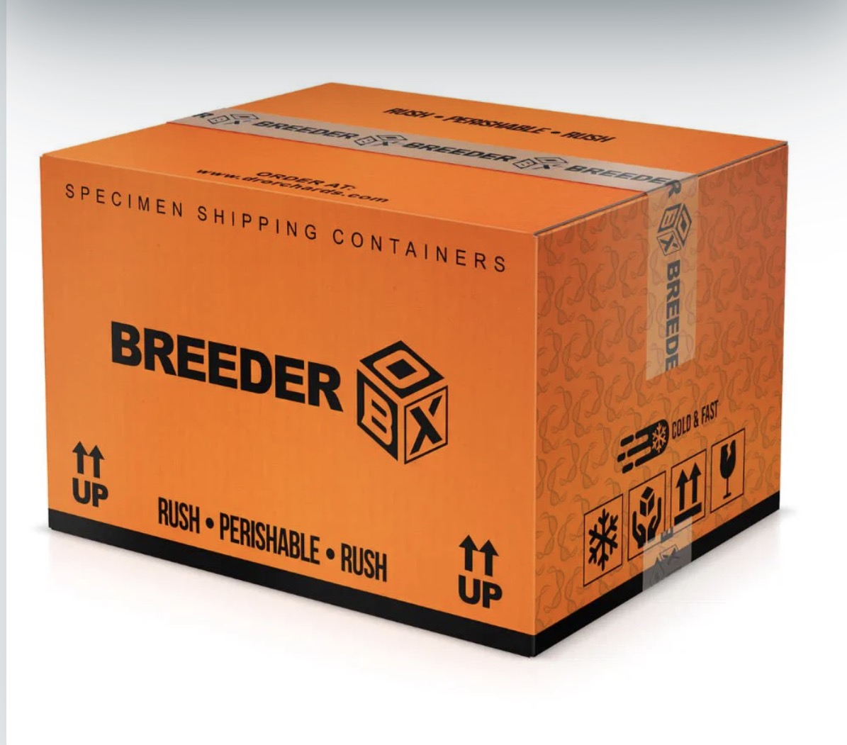 Specimen shipping box