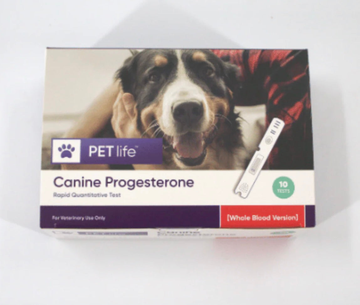 Progestrone test box