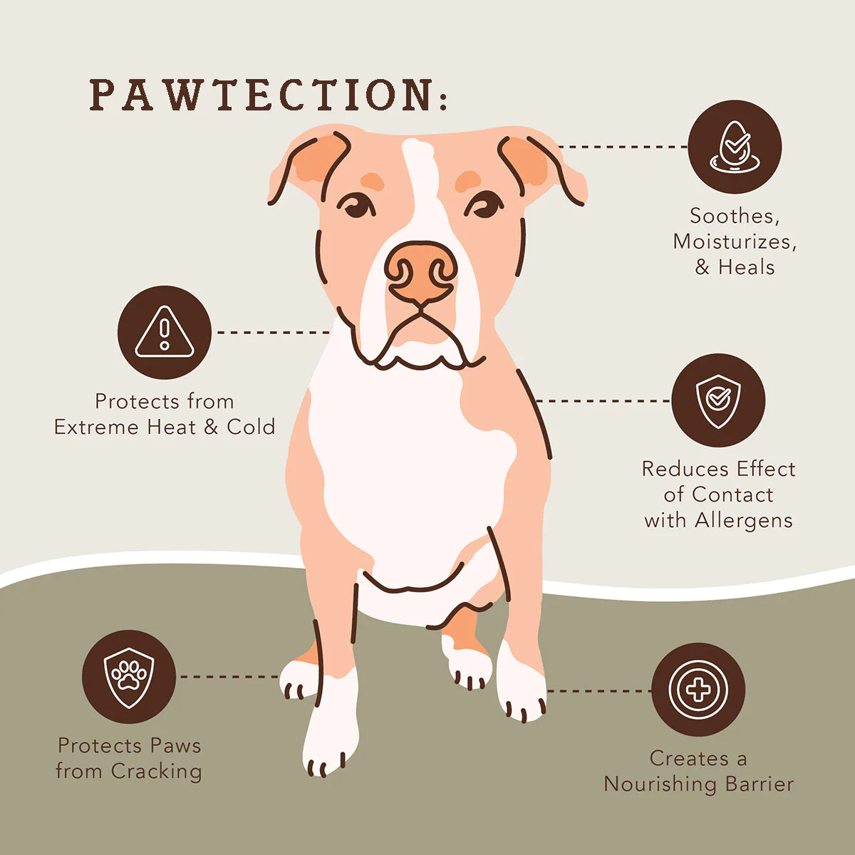 Organic Paw Tection