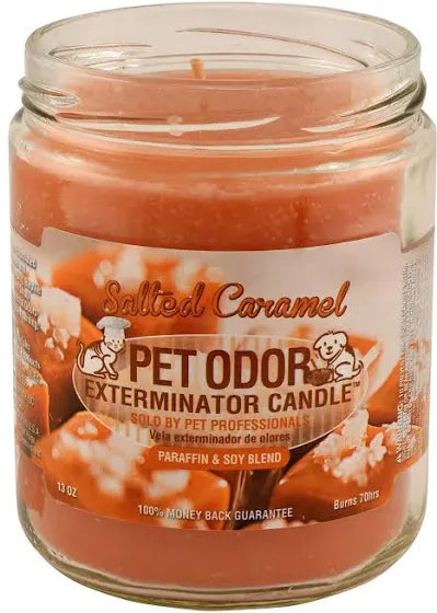 Pet odor eliminator candles