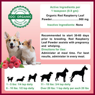 Red raspberry leaf powder