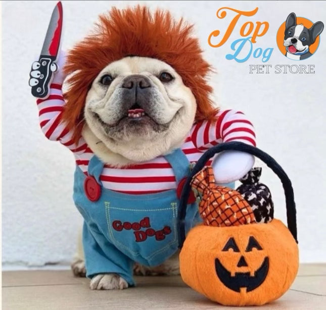 Halloween costume
