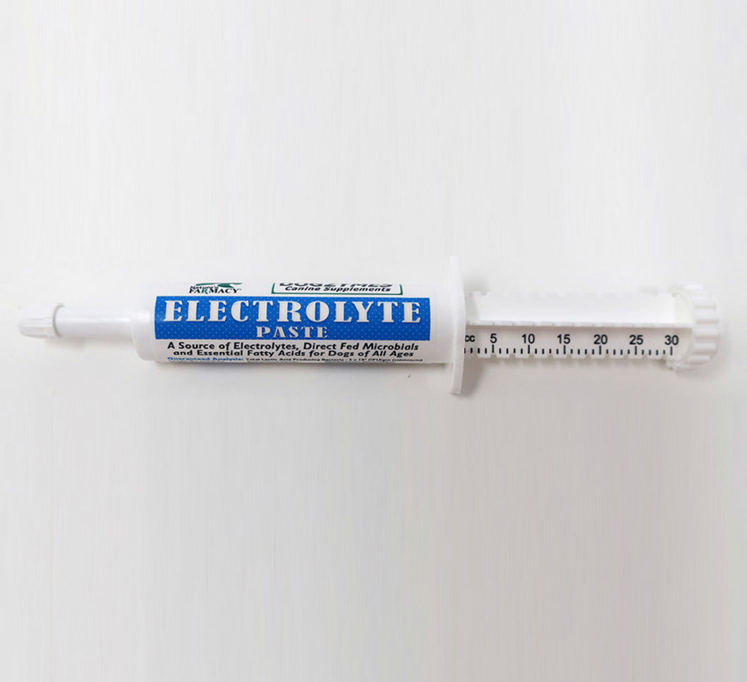 Electrolyte paste