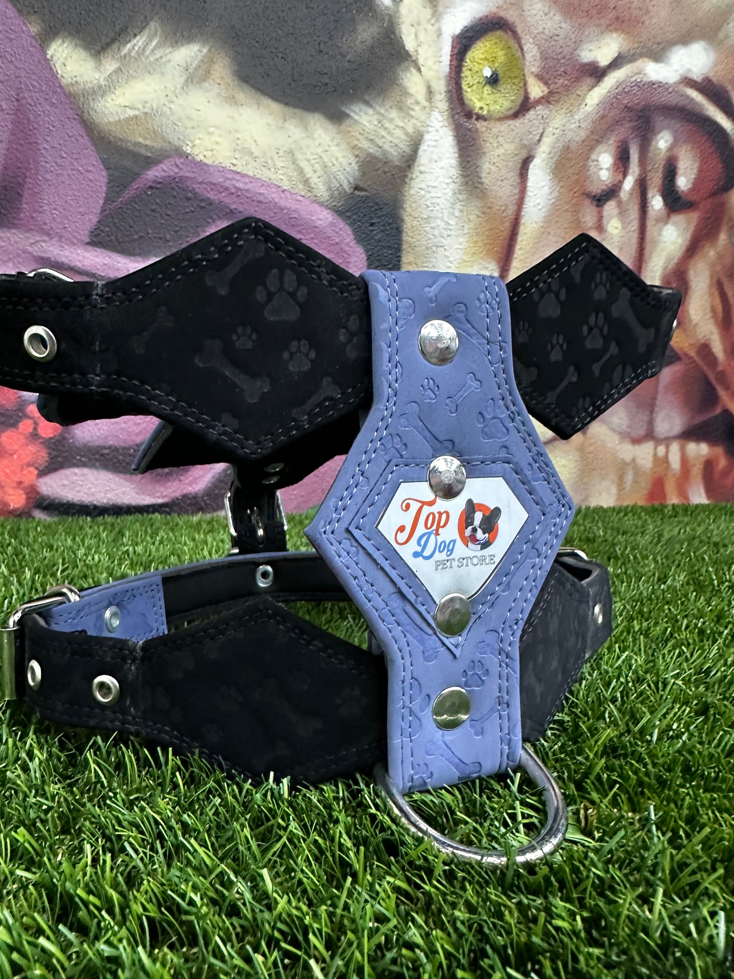 Top Dog Harness Bone and Paw Print