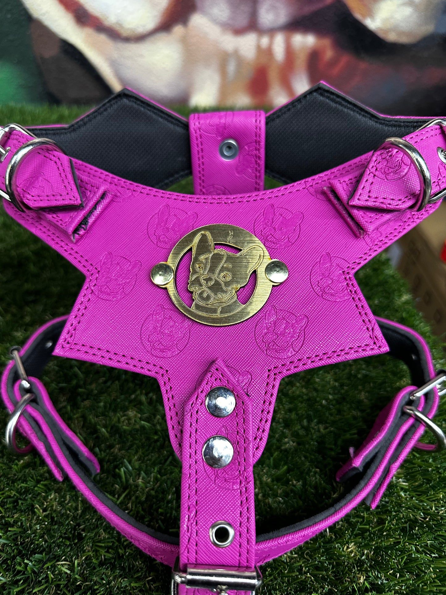 Top Dog Harness Violet