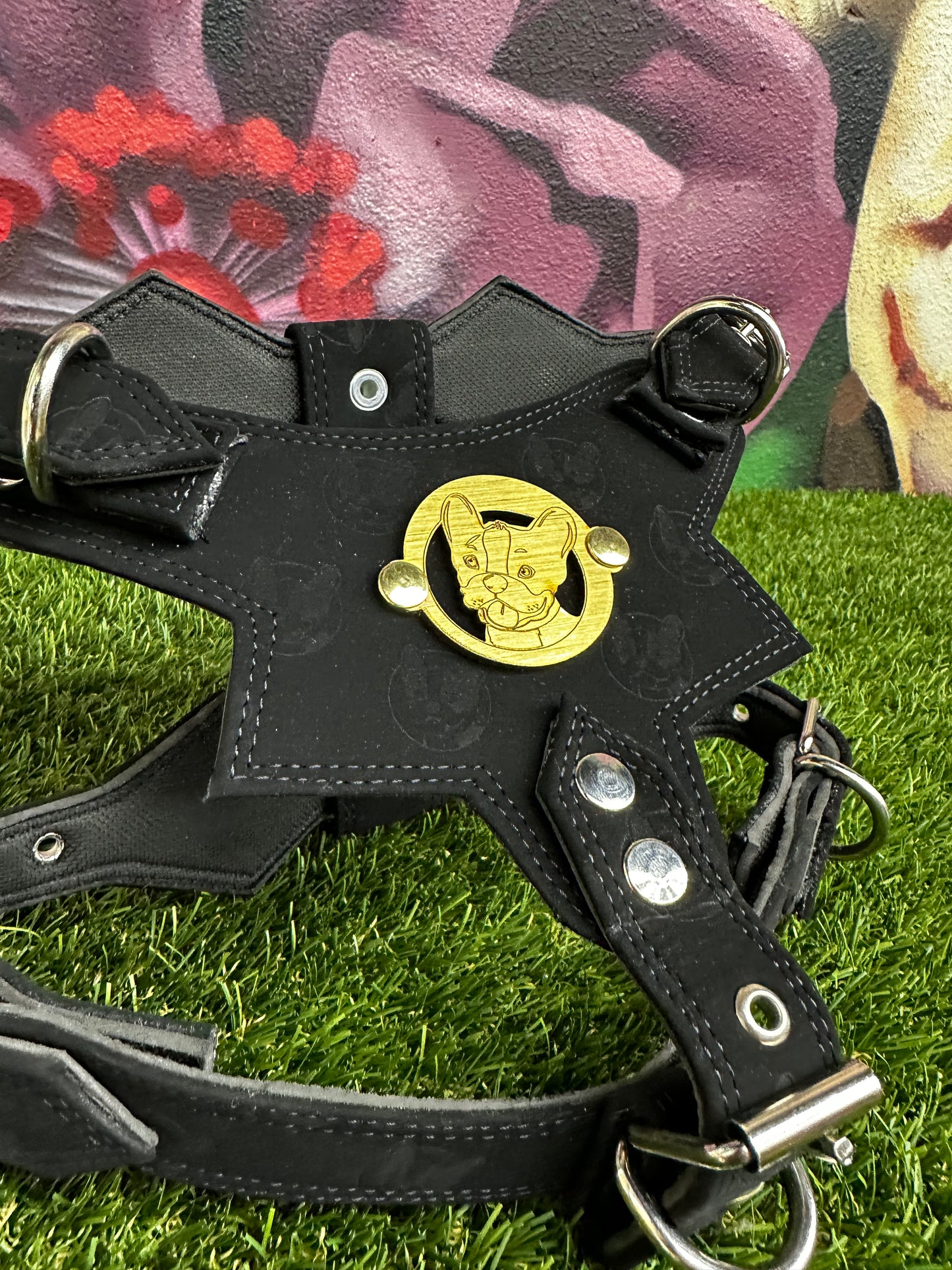 Top Dog Harness Black Suede