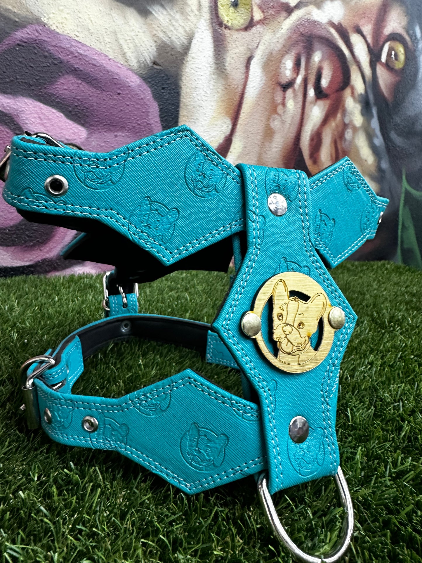 Top Dog Harness Teal