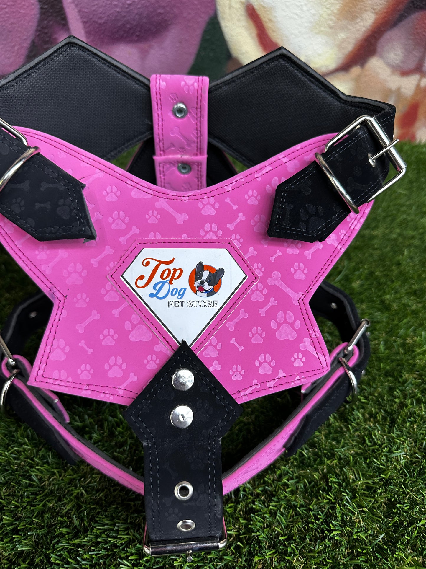 Top Dog Harness Bone and Paw Print