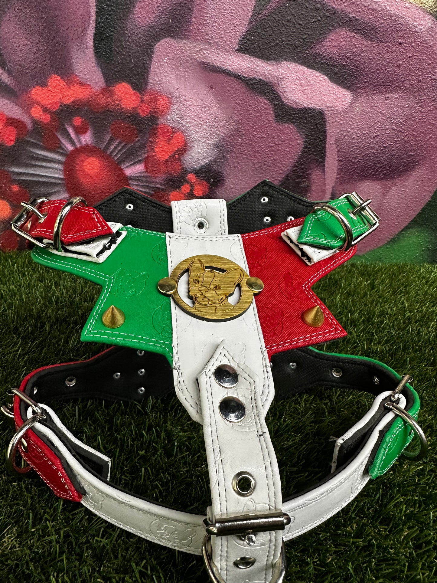 Top Dog Harness Mexico