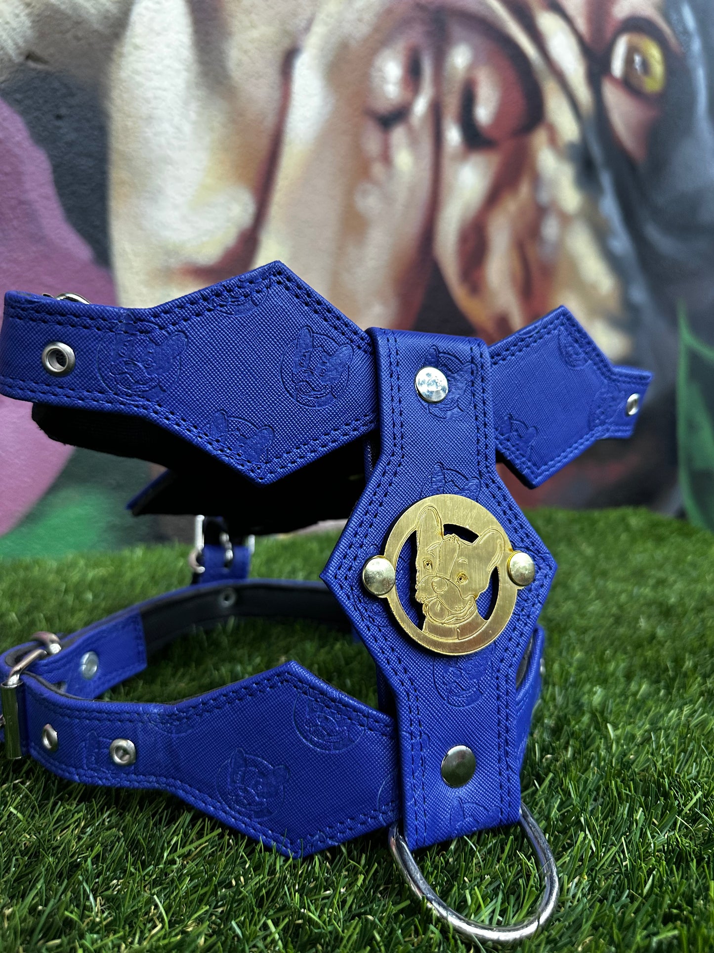 Top Dog Harness Blue