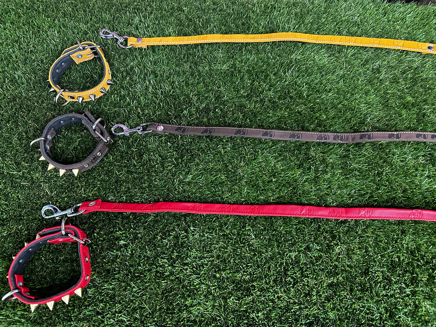 Top Dog Collar Puppy