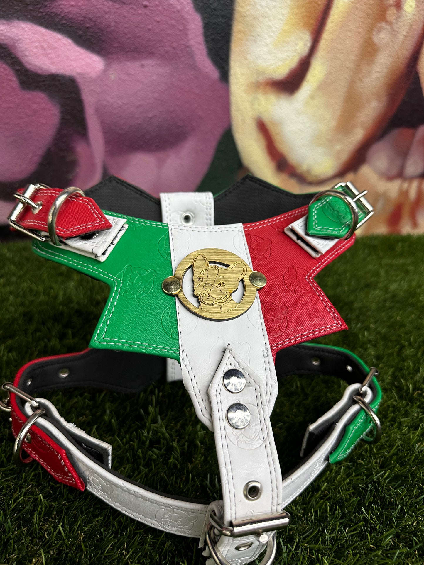 Top Dog Harness Mexico