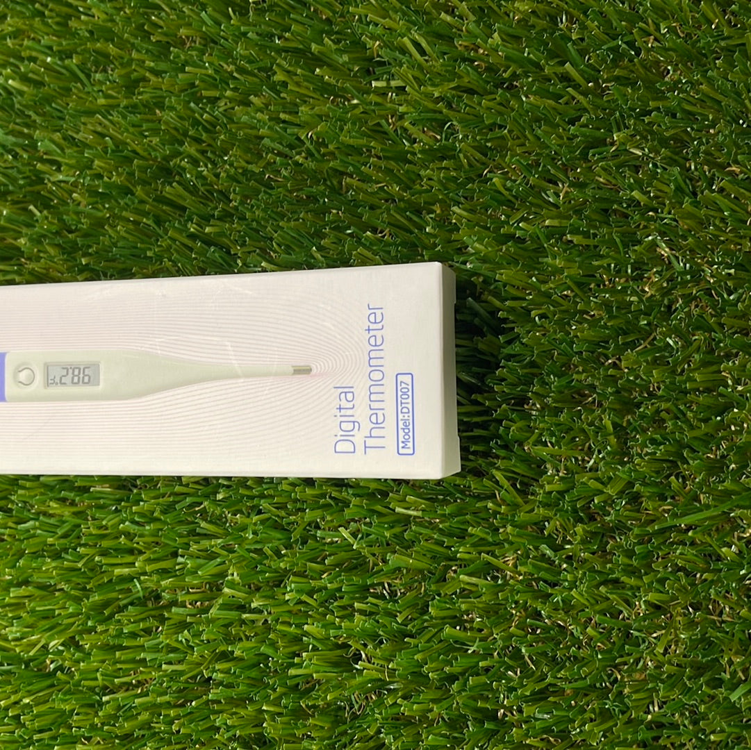 Digital thermometer