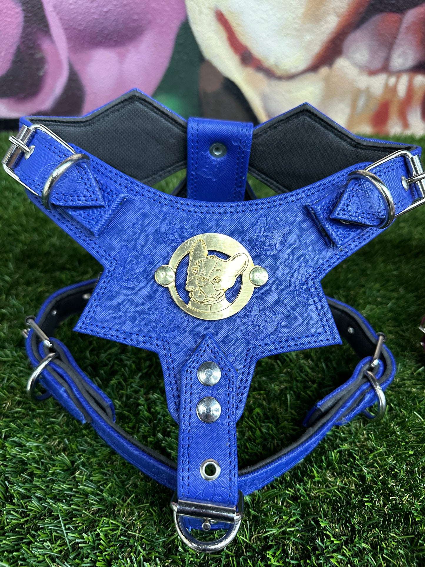 Top Dog Harness Blue