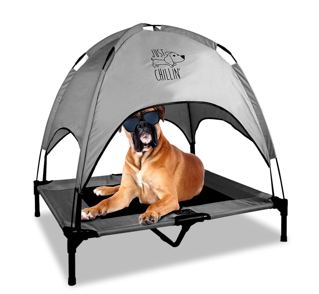 Canopy dog house