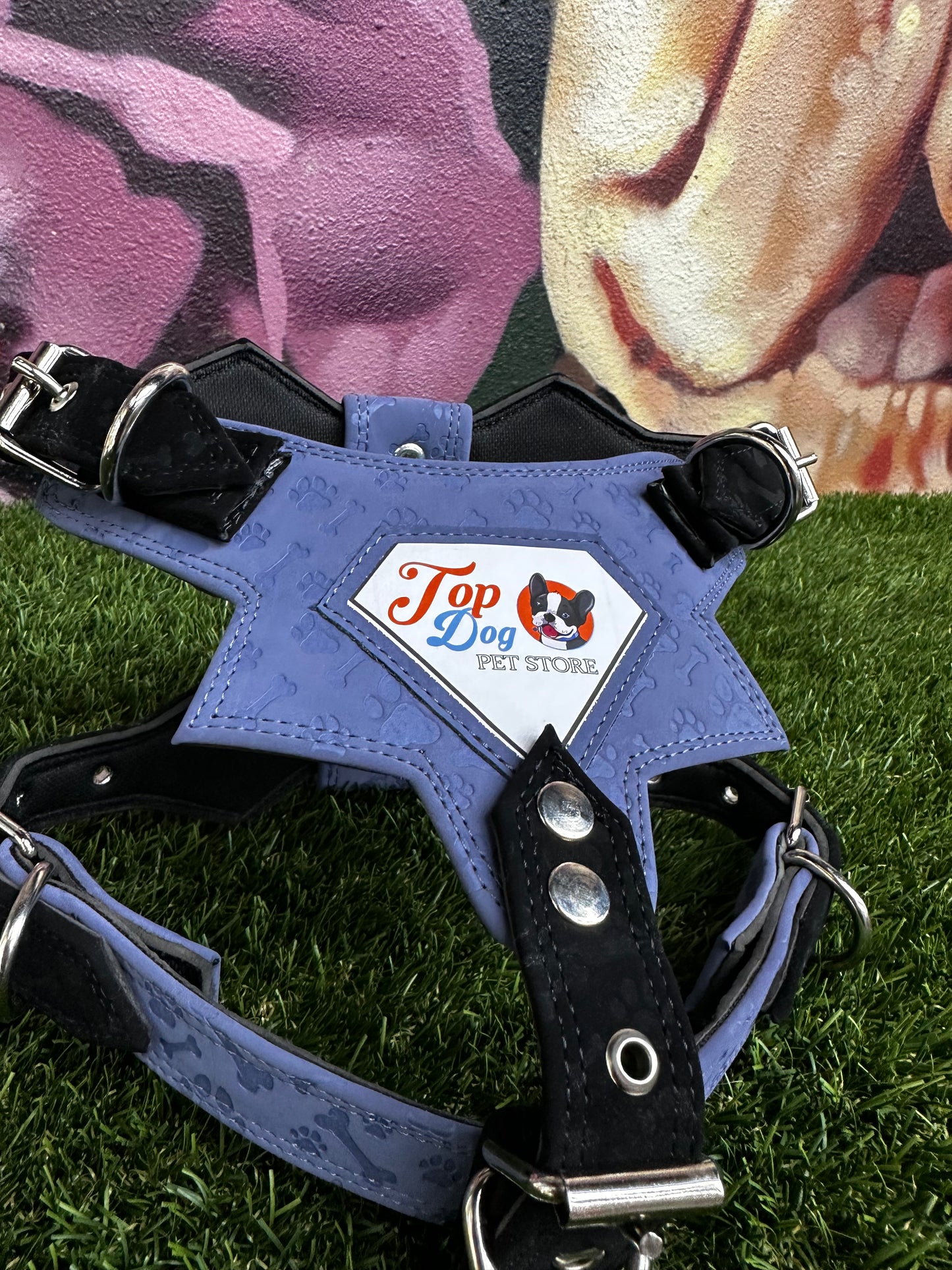 Top Dog Harness Bone and Paw Print