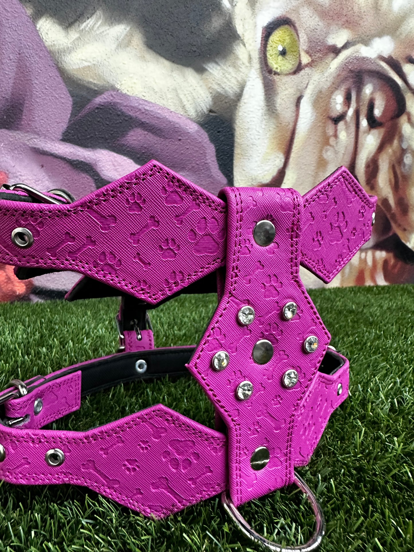 Top Dog Harness Bone and Paw Print