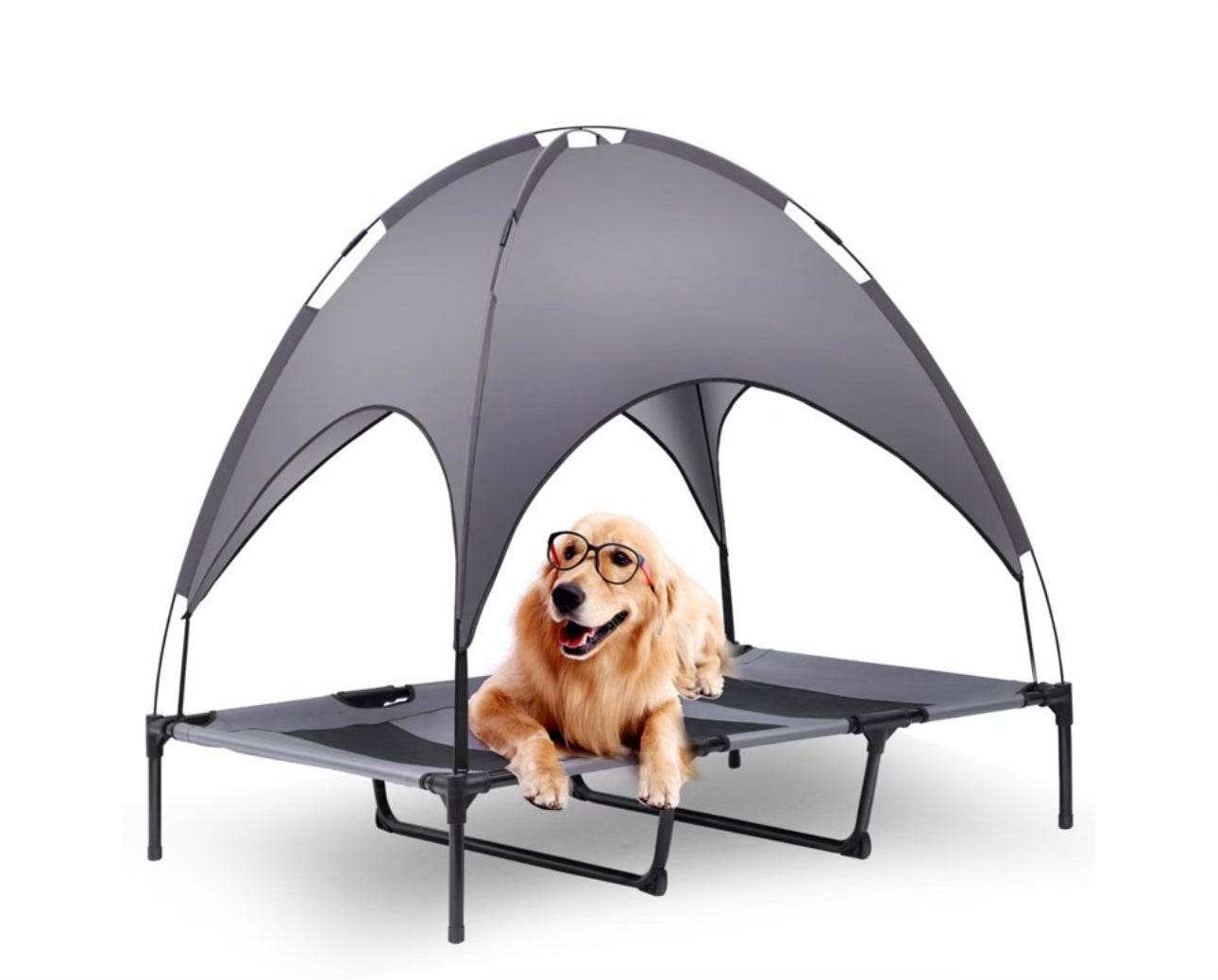 Canopy dog house