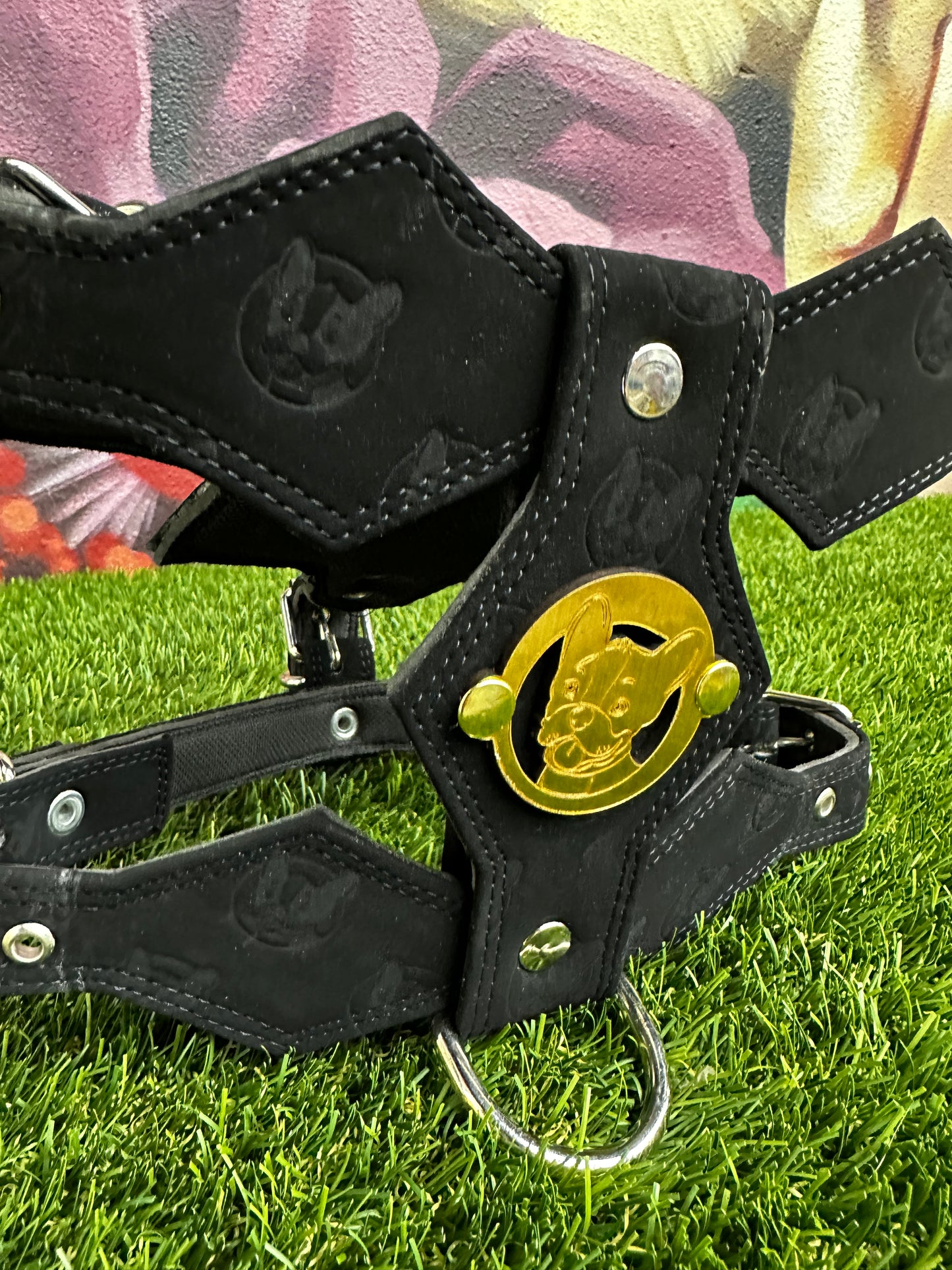 Top Dog Harness Black Suede