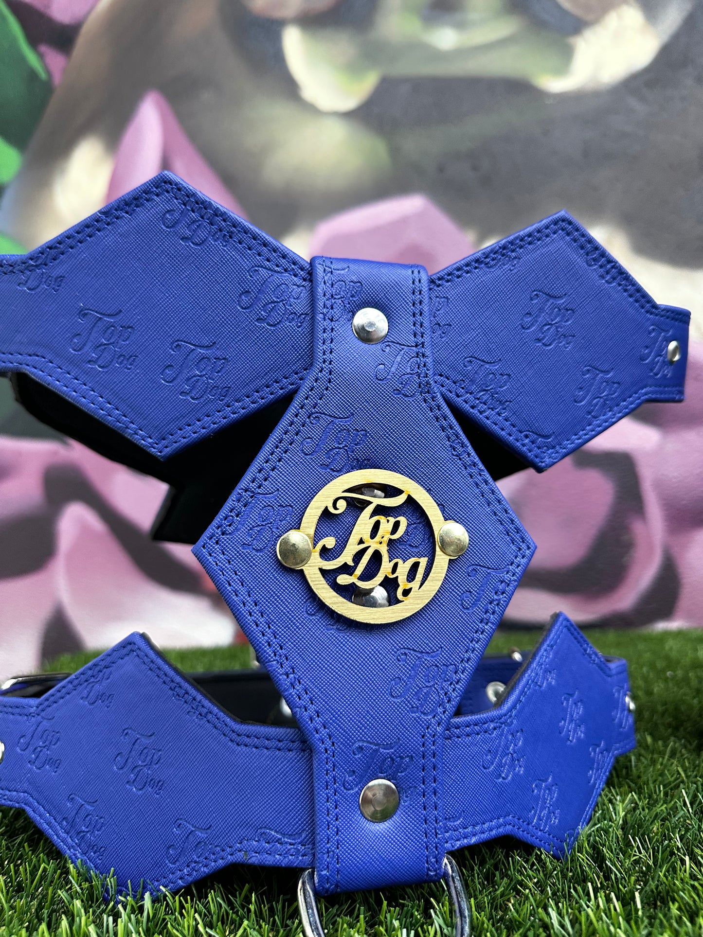 Top Dog Harness Blue