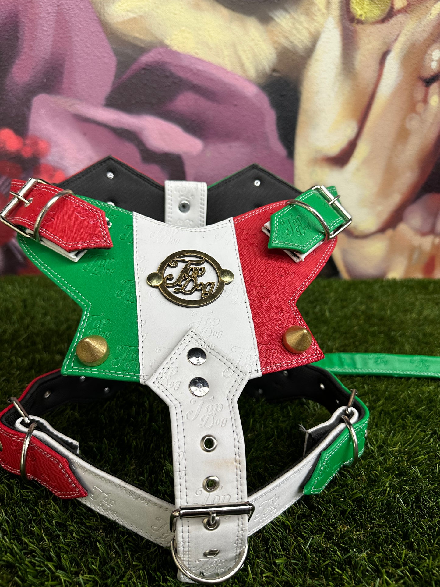 Top Dog Harness Mexico