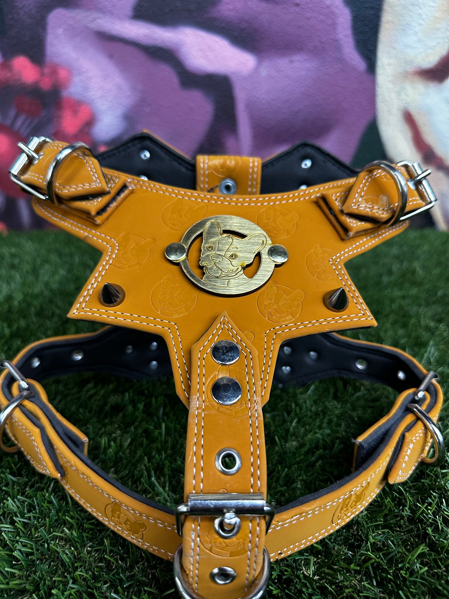 Top Dog Harness Wheat