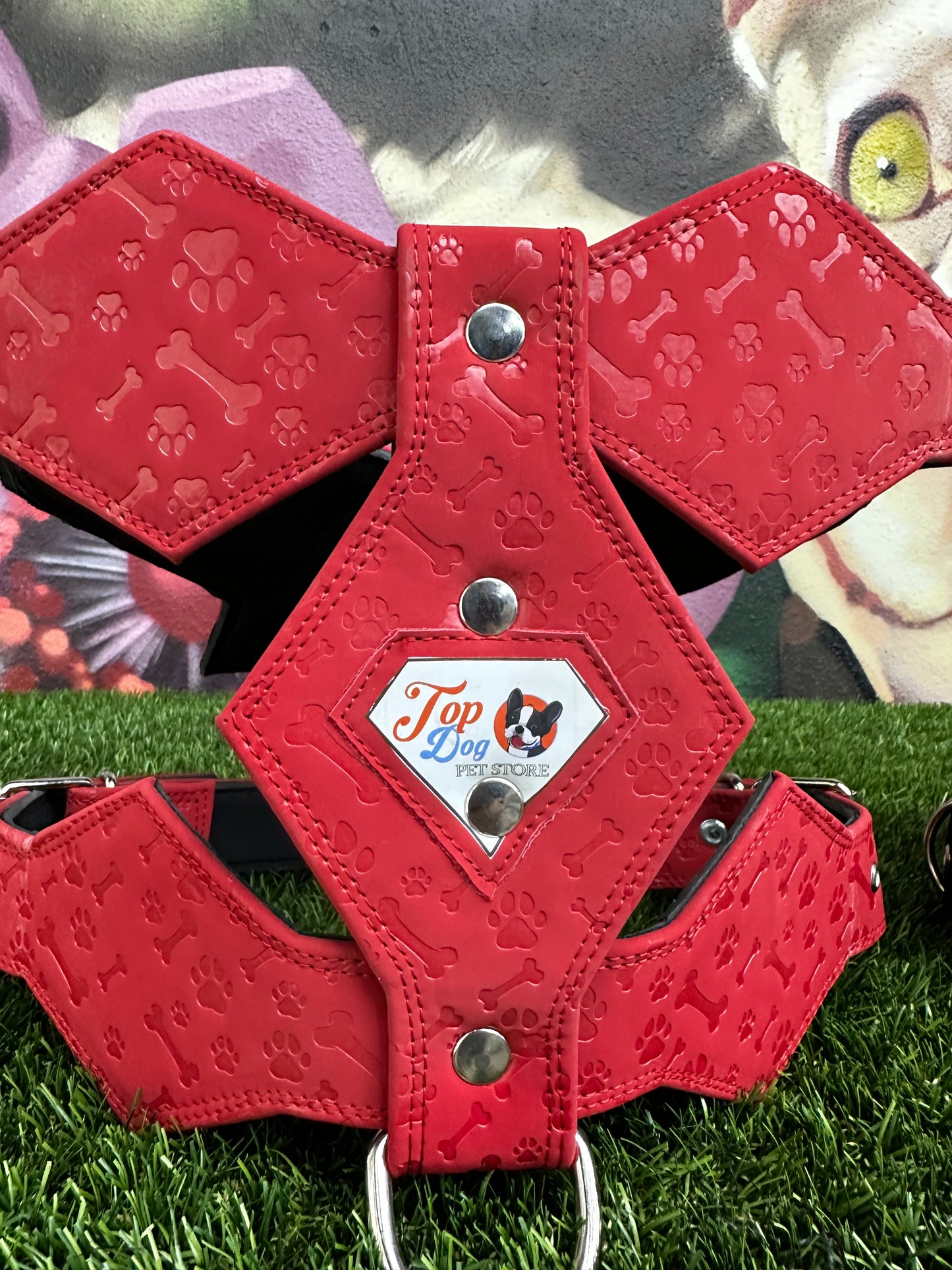Top Dog Harness Bone and Paw Print