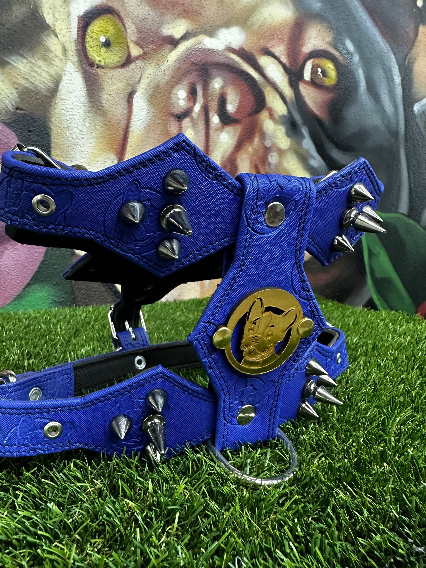 Top Dog Harness Blue