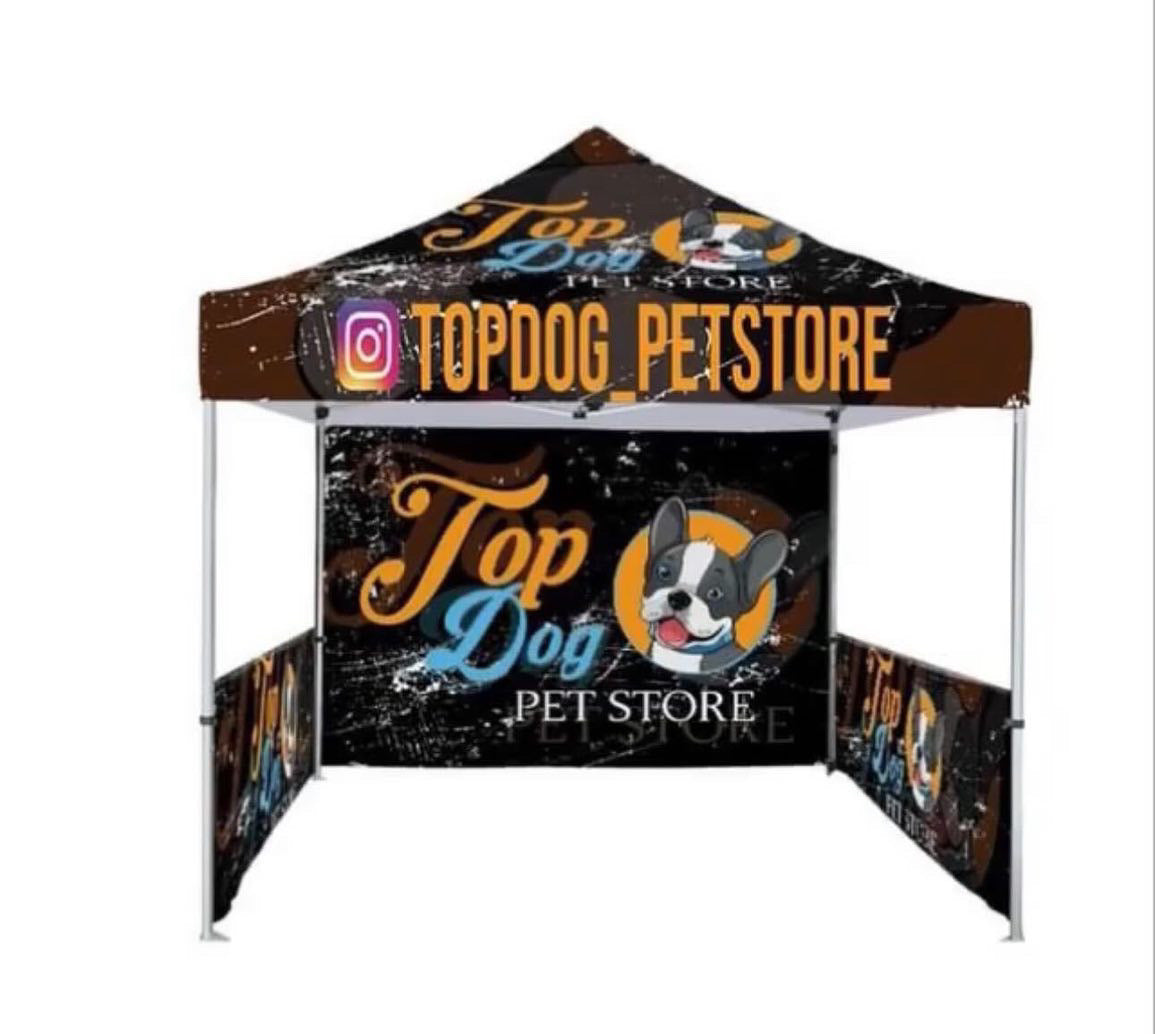 Canopy set up
