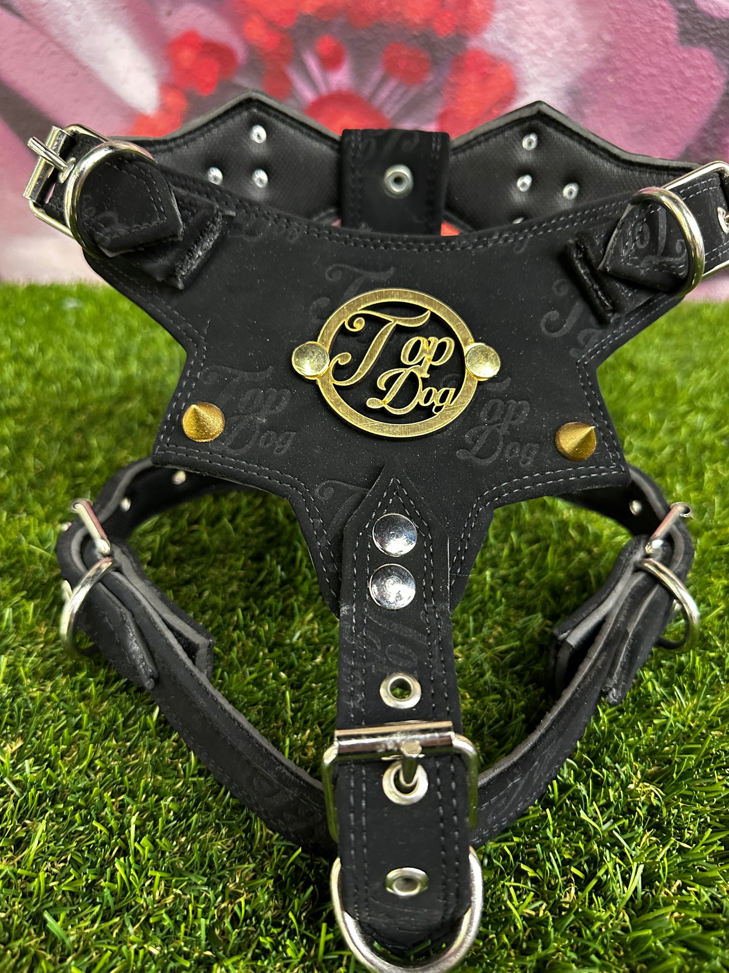 Top Dog Harness Black Suede