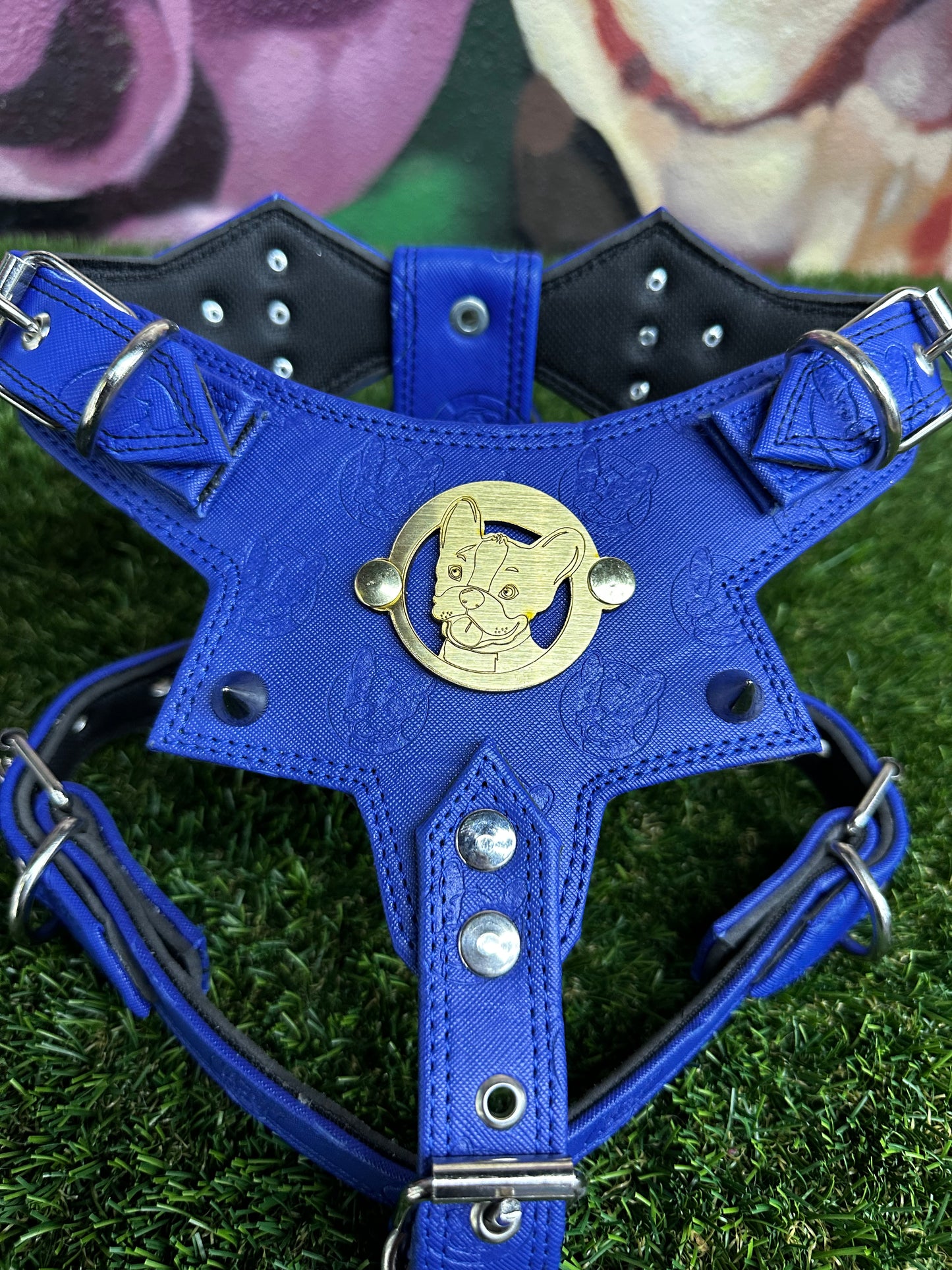 Top Dog Harness Blue