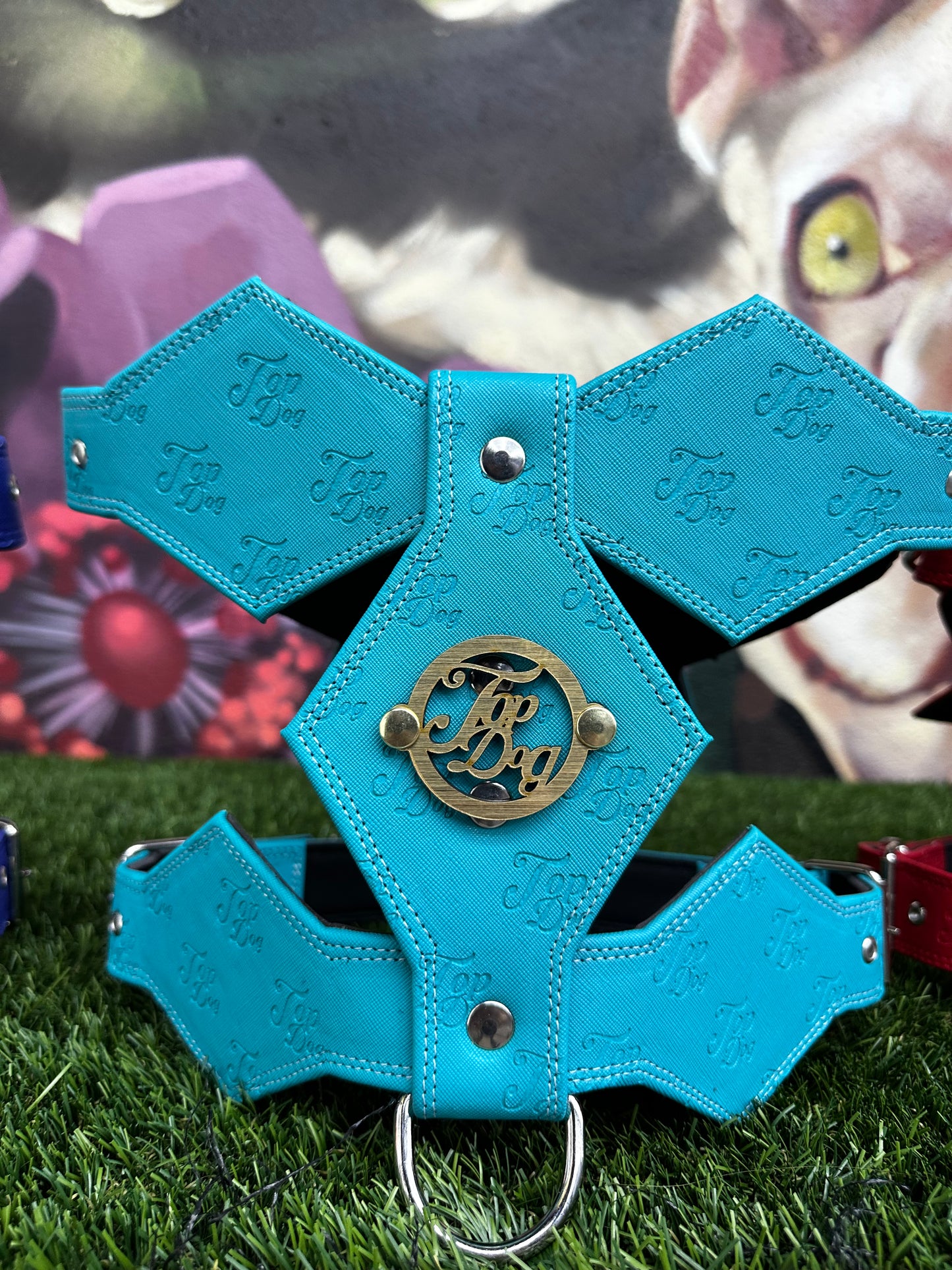 Top Dog Harness Teal