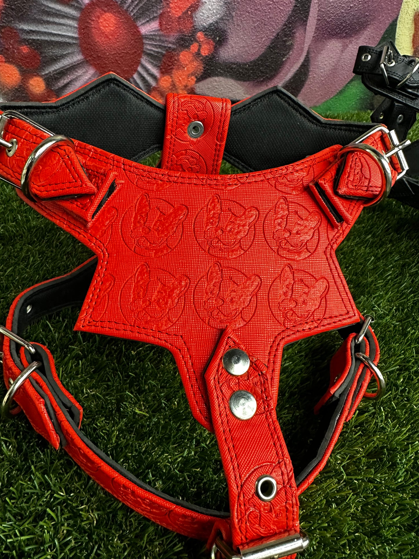 Top Dog Harness Red