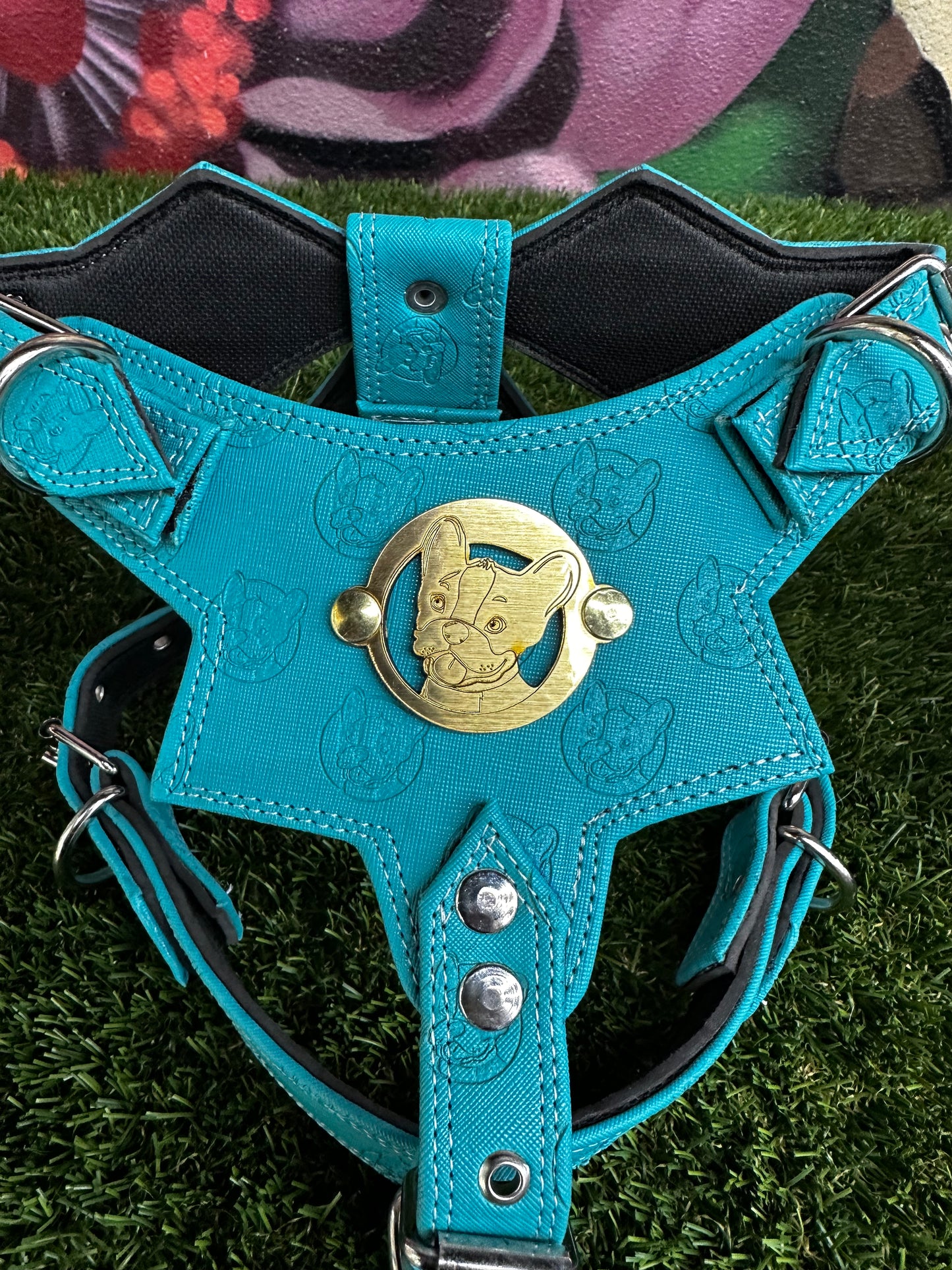 Top Dog Harness Teal