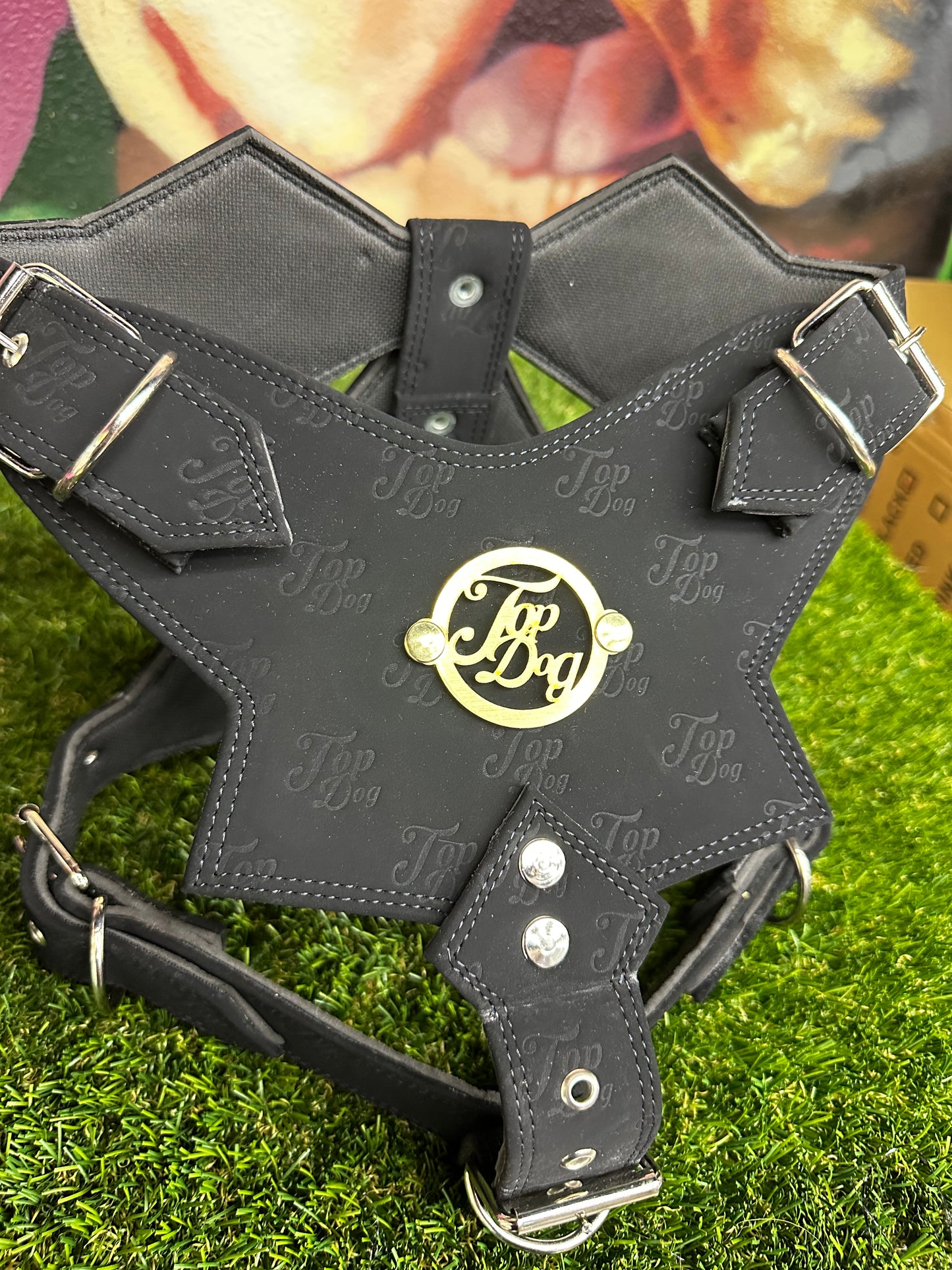 Top Dog Harness Black Suede