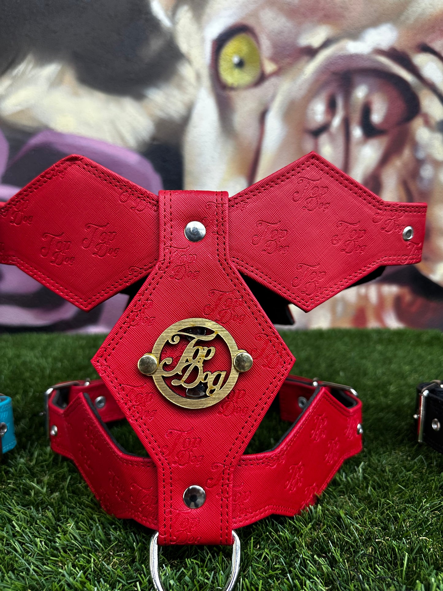 Top Dog Harness Red