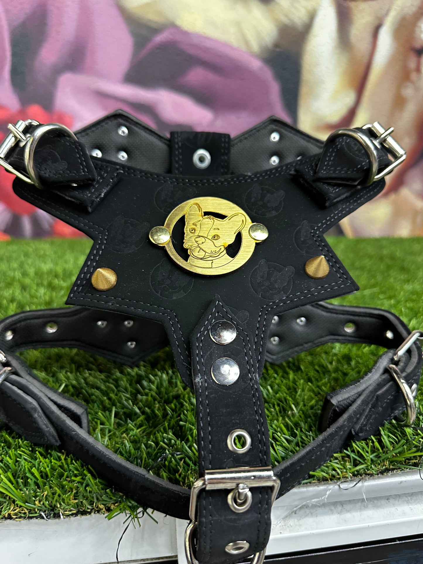 Top Dog Harness Black Suede