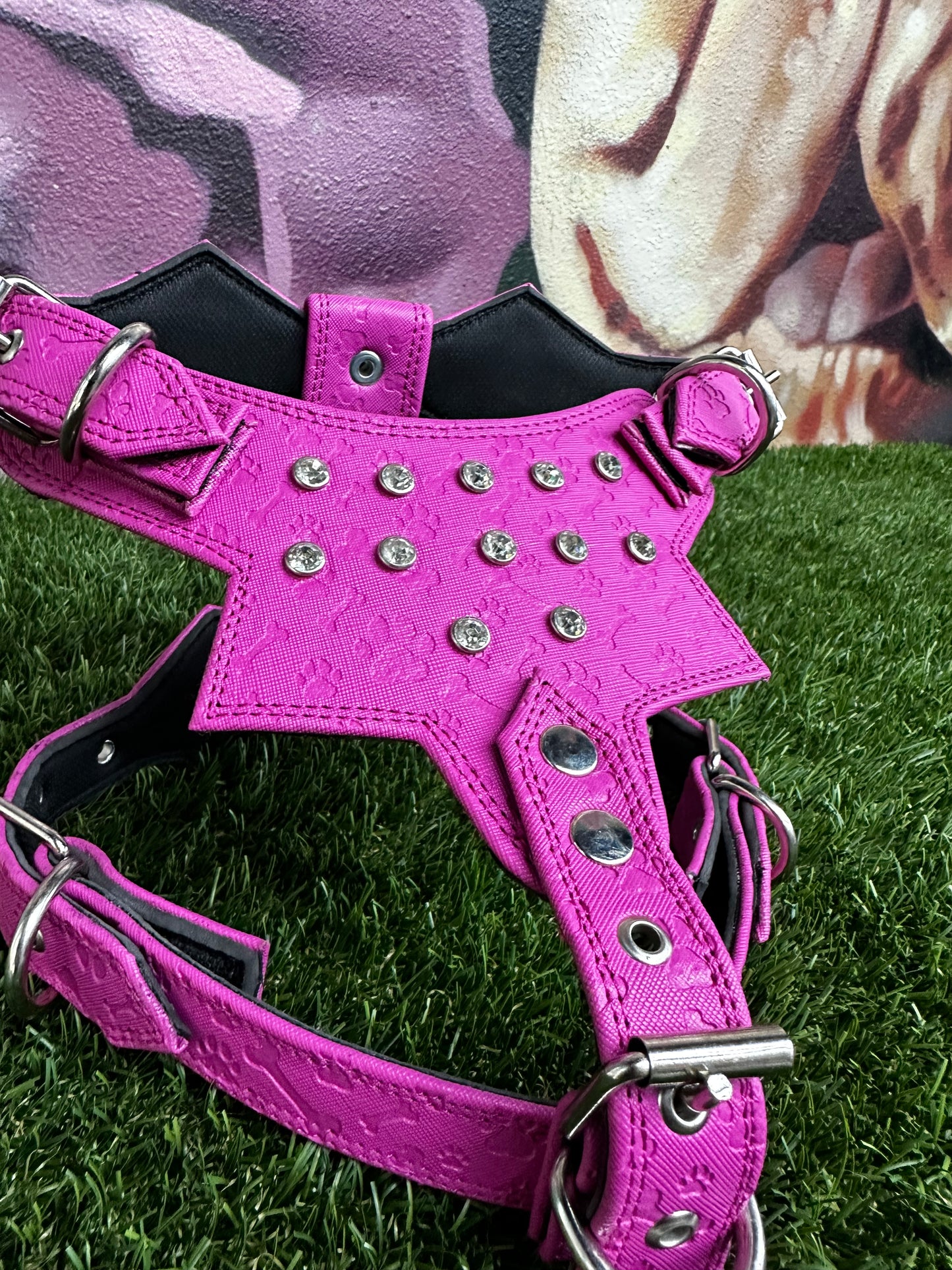 Top Dog Harness Bone and Paw Print
