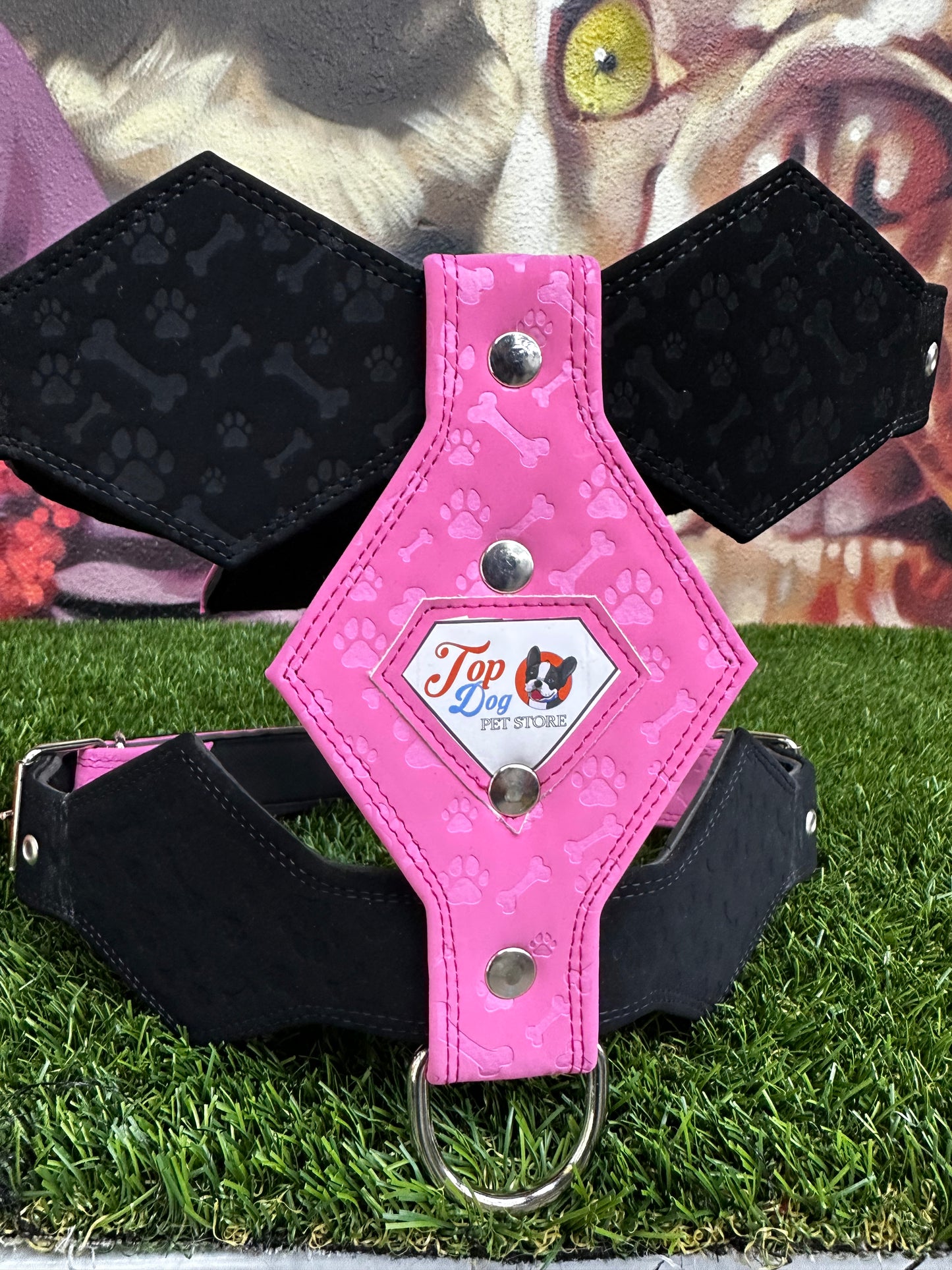 Top Dog Harness Bone and Paw Print