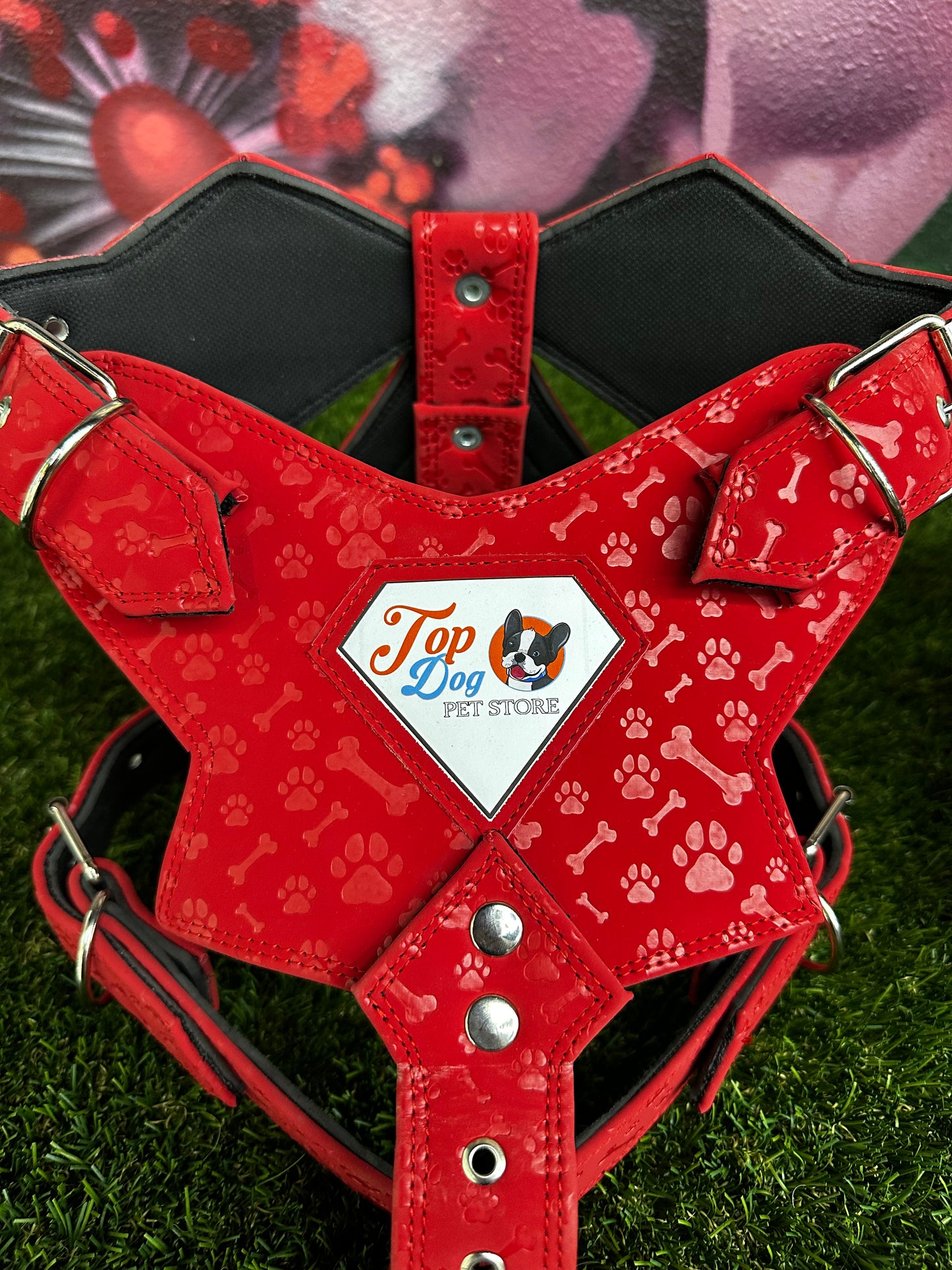 Top Dog Harness Bone and Paw Print